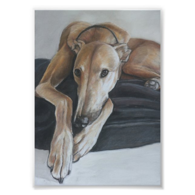 Tan Greyhound Dog Art Foto Print (Vorne)