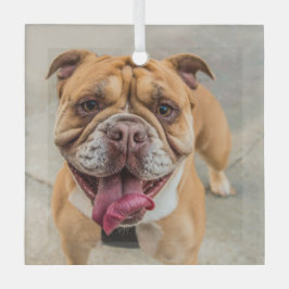 Tan Happy Dog Foto Ornament Aus Glas