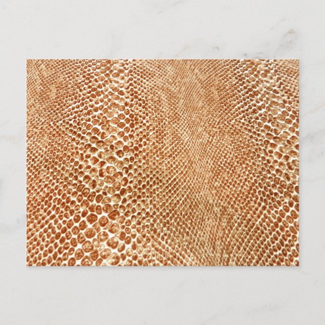 Tan Snakeskin Postkarte (Vorderseite)
