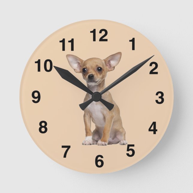 TAN und weiße Chihuahua Runde Wanduhr (Vorderseite)