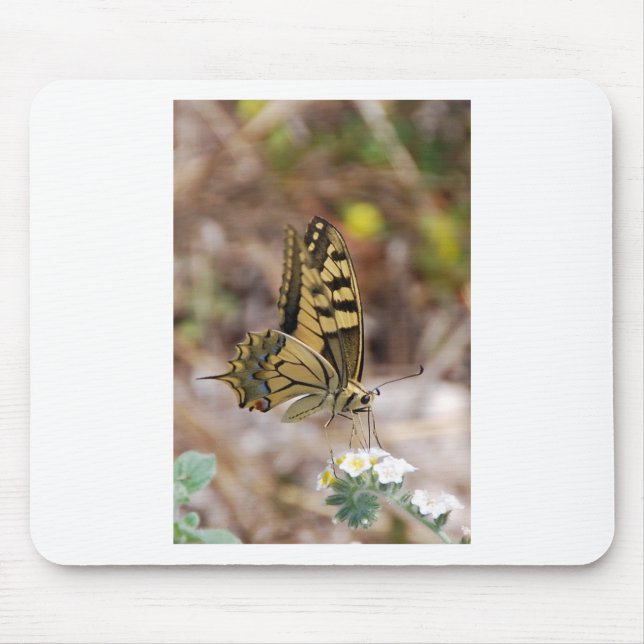 Tan und White Butterfly Mousepad (Vorne)