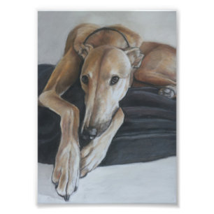 TAN-Windhund-Hundekunst-Foto-Druck Fotodruck