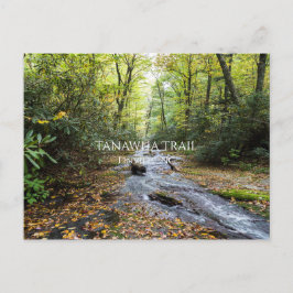 Tanawha Trail Postkarte