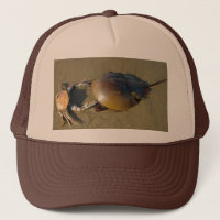 Tancing Crabs Hat