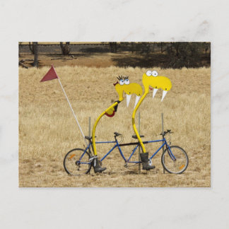 Tandem Schlangen Postkarte