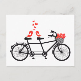 Tandemfahrer mit niedlichen Liebesvögeln Postkarte