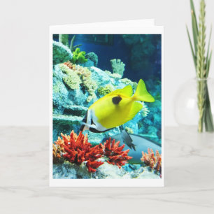 Tang tropische Fische Feiertagskarte