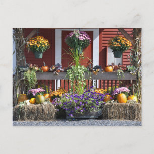 Tanglewood Fall Beauty - Carte postale