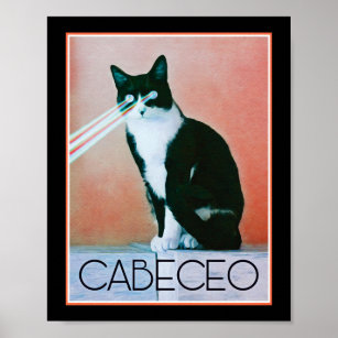 Tango Milonga Cat Laser Focus Cabeceo Poster