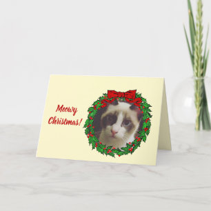 Tannenreifrahmen Meowy Weihnachten Fügen Sie ein K
