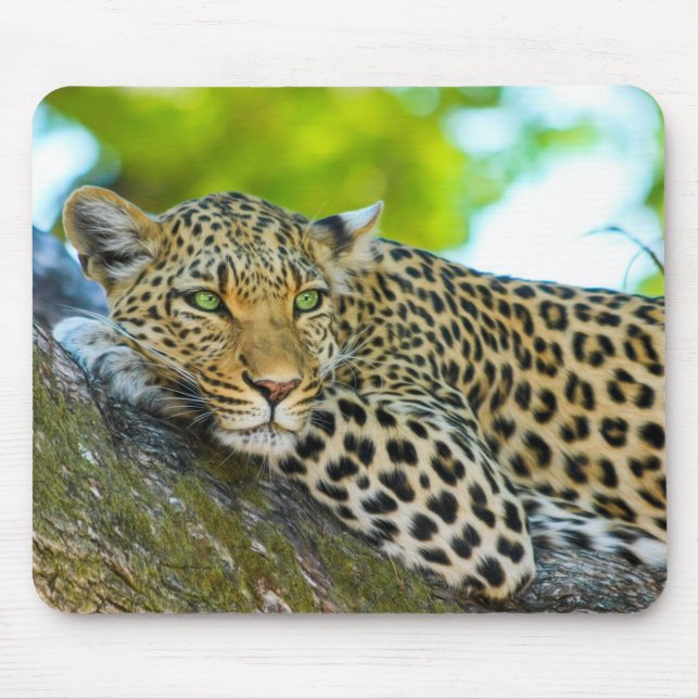 Tansania Leopard Mouse Pad Mousepad (Vorne)