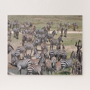 Tansania-Nationalpark.