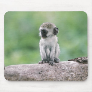 Tansania, Ngorogoro-Krater. Nahaufnahme von wild Mousepad