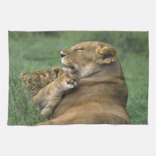 Tansania, Ngorongoro-Krater. Afrikanische Löwenmut Handtuch