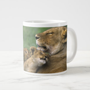 Tansania, Ngorongoro-Krater. Afrikanische Löwenmut Jumbo-Tasse