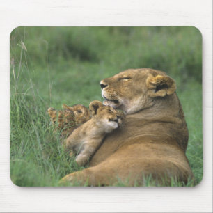 Tansania, Ngorongoro-Krater. Afrikanische Löwenmut Mousepad