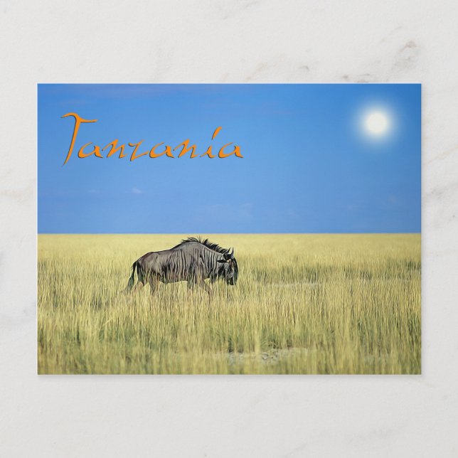 Tansania Postkarte (Vorderseite)