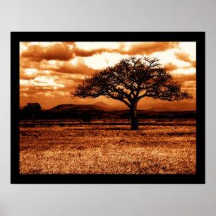 Tansania Safari Poster