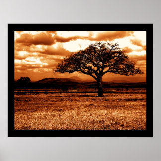 Tansania Safari Poster