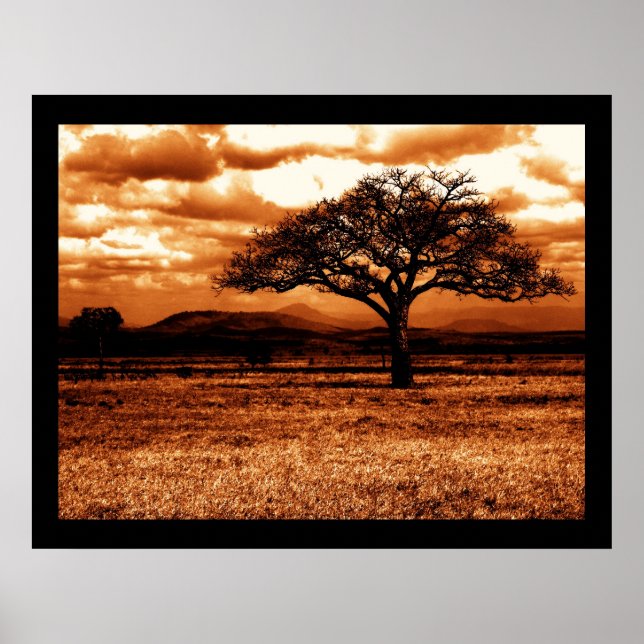 Tansania Safari Poster (Vorne)