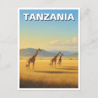 Tansania Serengeti Nationalpark Giraffen