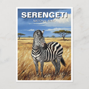 Tansania Serengeti Nationalpark Zebra Postkarte