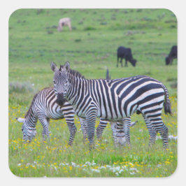 Tansania Zebra Stickers