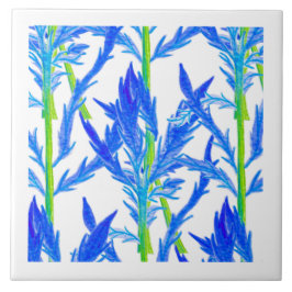 Tansy (L) auf einer Keramik Fliese