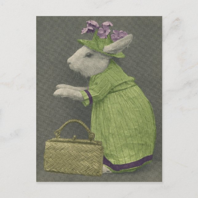 Tante Bunny Postcard Postkarte (Vorderseite)