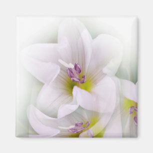 Tanz der Blume Magnet