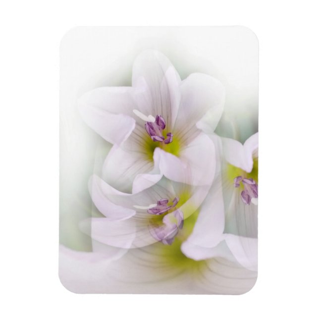 Tanz der Blume Magnet (Vertikal)