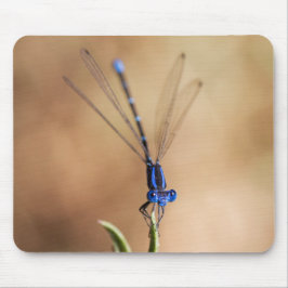 Tanz der Damselfly Mousepad
