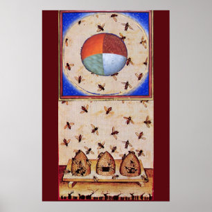TANZ DER HONIGBIENEN MIT VIER ELEMENTEN POSTER