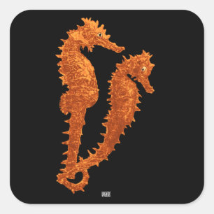 Tanz der Seepferde (orange) Quadratischer Aufkleber