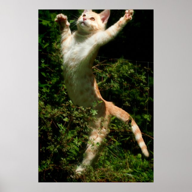 Tanz Poster (Vorne)