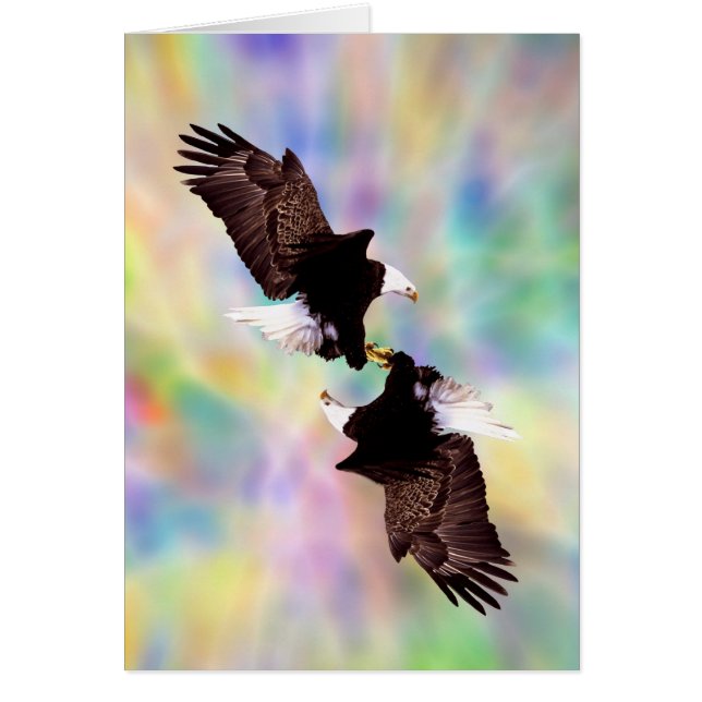 Tanzadler (Vorne)