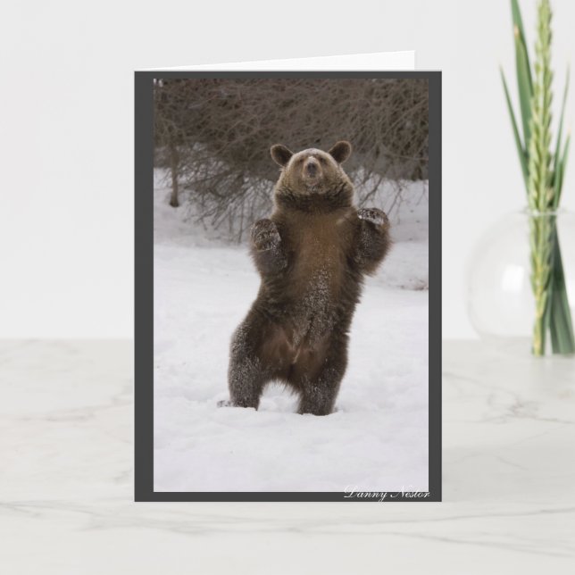 Tanzbär Karte (Vorderseite)