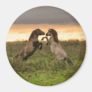 Tänzelnder wilde Pferderunder Magnet
