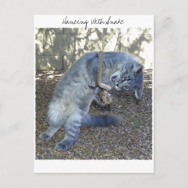 Tanzen mit Schlange Postkarte (Vorderseite)