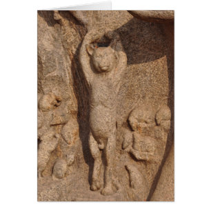Tanzen-Tempel-Katze, Indien