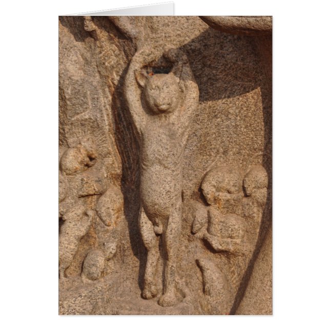 Tanzen-Tempel-Katze, Indien (Vorne)