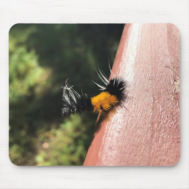 Tanzende Raupe Mousepad (Vorne)