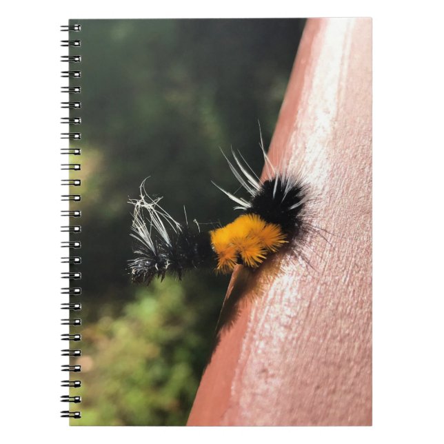 Tanzende Raupe Notizblock (Vorderseite)