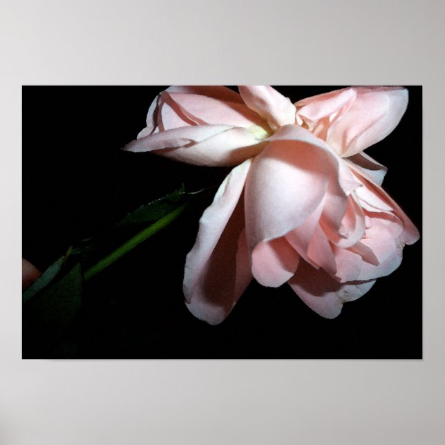 Tanzende Rose 19x13 Poster (Vorne)