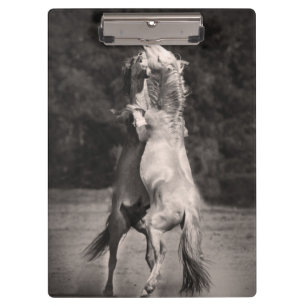 TanzenStallions Klemmbrett