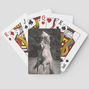 TanzenStallions Spielkarten