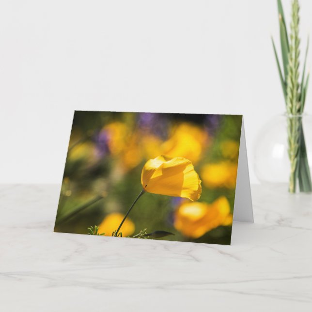 Tanzfläche Karte (Vorderseite)