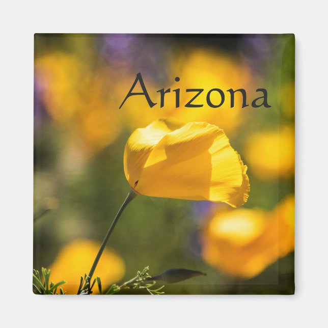 Tanzgebiet, Arizona Magnet (Vorne)
