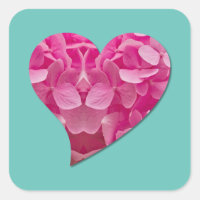 Tanzherz Pink Hydrangea Blume auf Aquamarin Blue