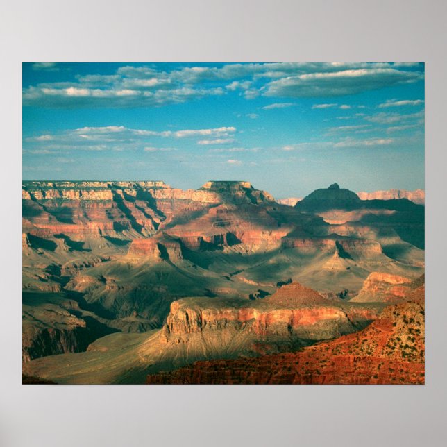 Tanzschatten Poster (Vorne)